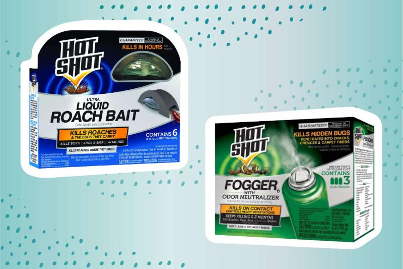 Roach Bait Trap Market 2023| Industry Growth Rate, Trends, Future Opportunity, SWOT Analysis, Top Manufactures, Region by Forecast 2029