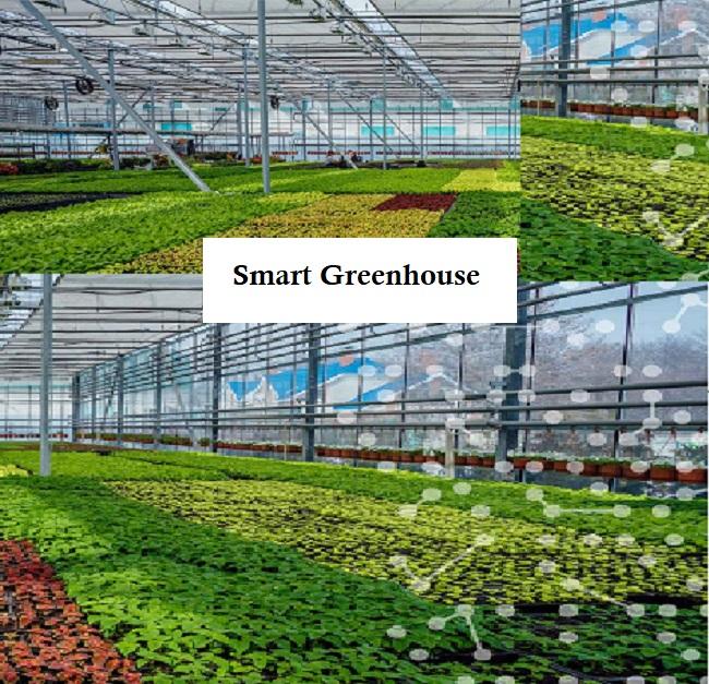 Smart Greenhouse Market is Booming Growth by Top Key Players - Venlo, Palram, RBI, Kubo, Nexus Corporation, Agra Tech, Luiten, Atlas Manufacturing, AgrowTec, TOP Greenhouse, FatDragon