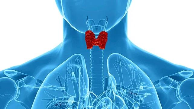Thyroid Function Test Market