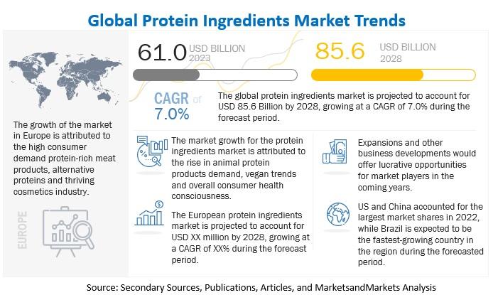 Protein Ingredients Market is Projected to Reach $85.6 billion