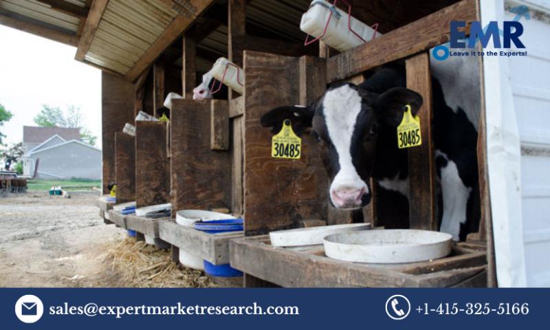 Global Animal Feeding Equipment Market Size to Grow at a CAGR