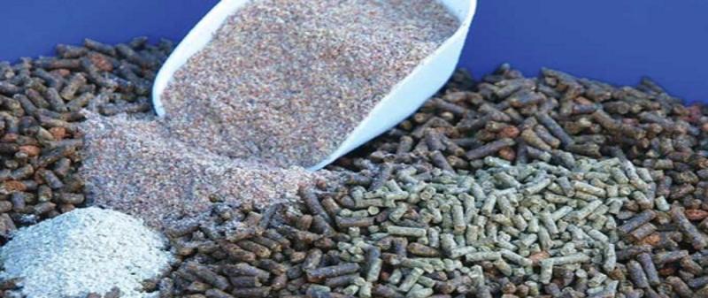 Equine Supplement Products Market