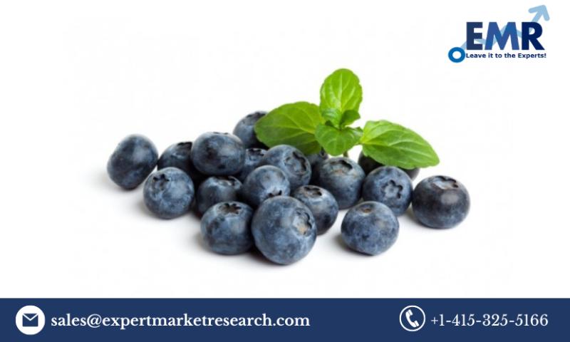Global Organic Berries Market Size to Grow at a CAGR of 2.90% in
