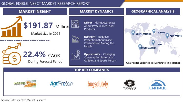 Vitamin Patches Market Evaluation of Industry Trends, Growth Drivers and  Forecast To 2030