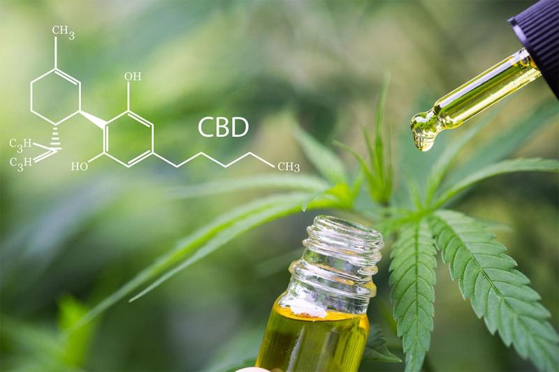 Cannabinol Oil Market