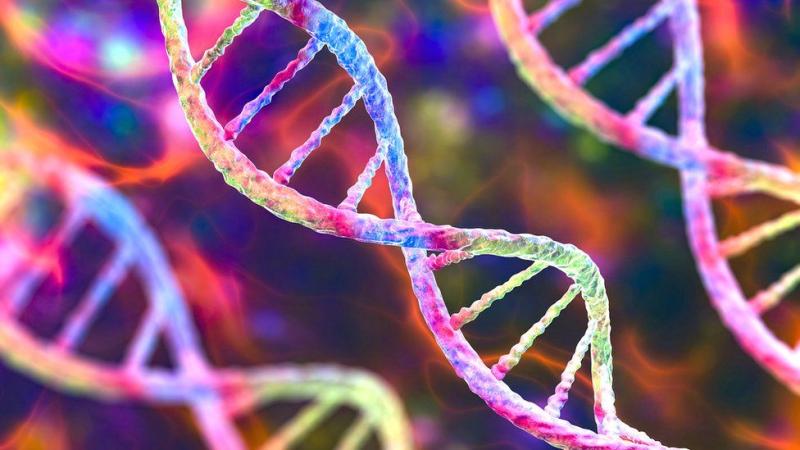 DNA Amplifier Market Report Covers Future Trends with Research