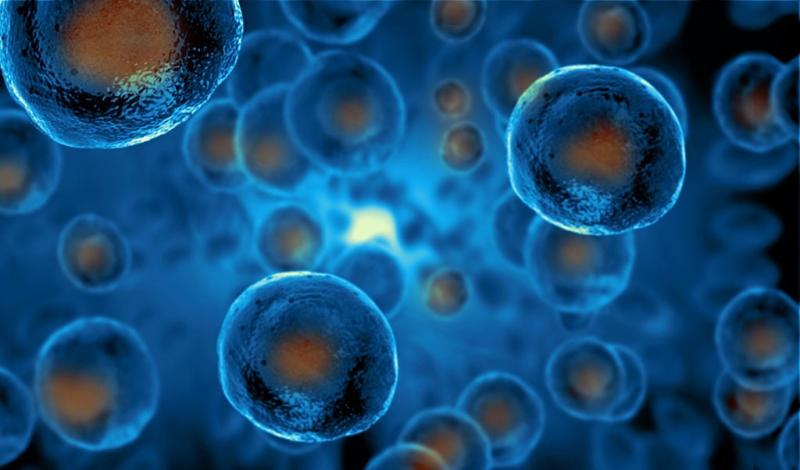 Cell Therapy Biomanufacturing Market Is Likely to Experience