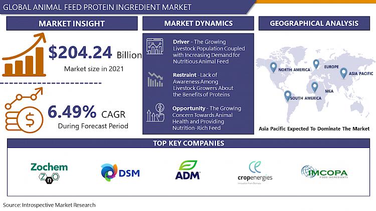 Why Soybean Meal Dominates the Animal Feed Market 