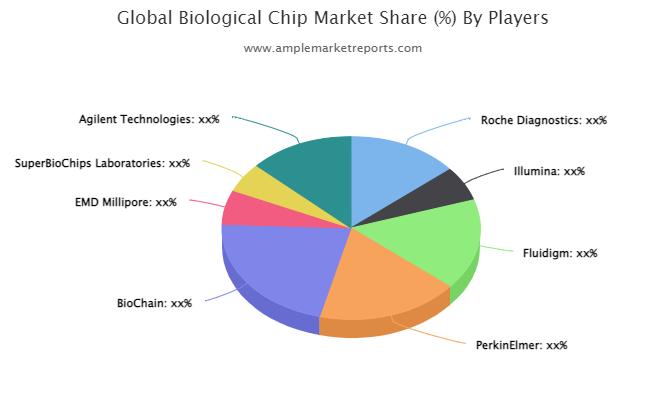 Biological Chip Market
