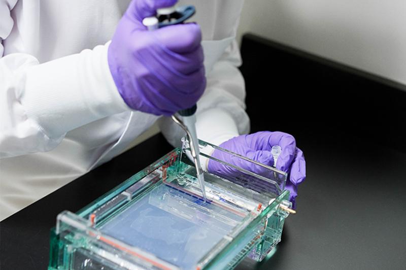 The global Non-Radioactive Nucleic Acid Labeling Product Market size reached 375.00 USD Million in 2022