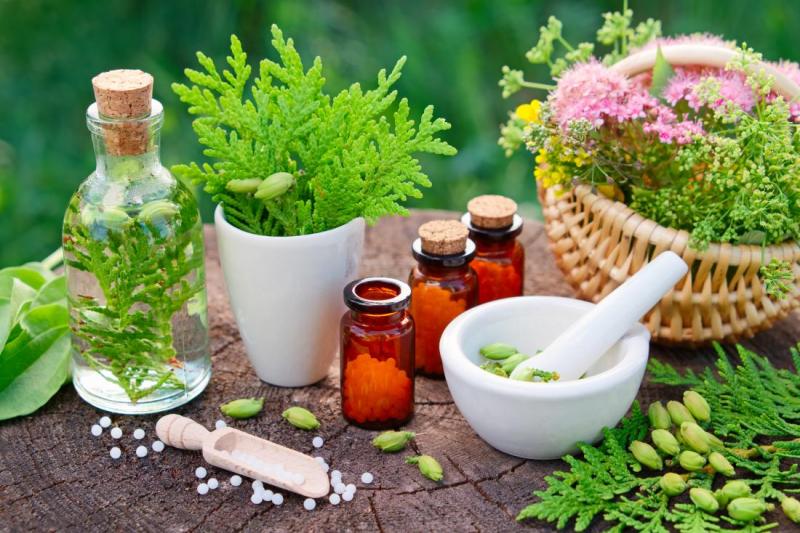 North America Homeopathy Market