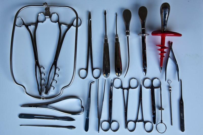 Veterinary Surgical Instrument Market Size, Share, Growth,