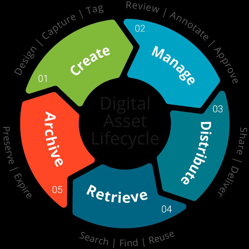 Digital Asset Management Market Current Status and Future