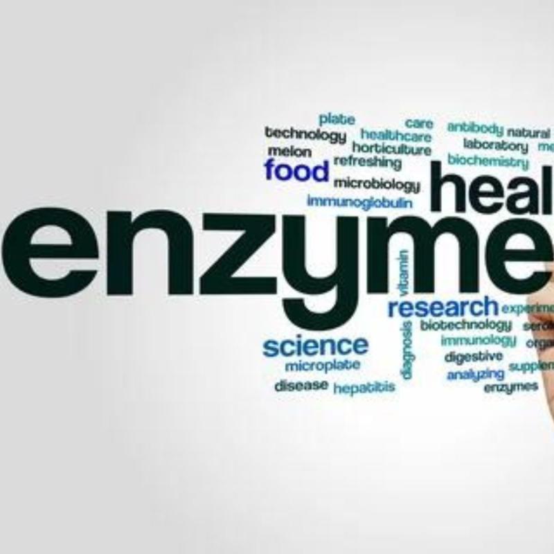 Medical Enzyme Technology Market, Medical Enzyme Technology Market Size, Medical Enzyme Technology Market Share