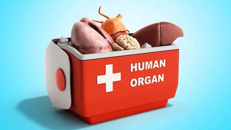 Organ Preservation Solutions Market, Organ Preservation Solutions Market Size, Organ Preservation Solutions Market Share