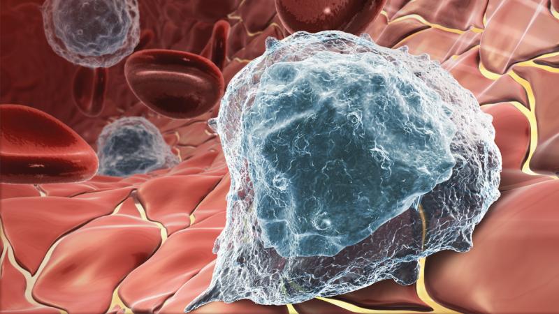 Prostate Cancer Therapeutics Market, Prostate Cancer Therapeutics Market Size, Prostate Cancer Therapeutics Market Share