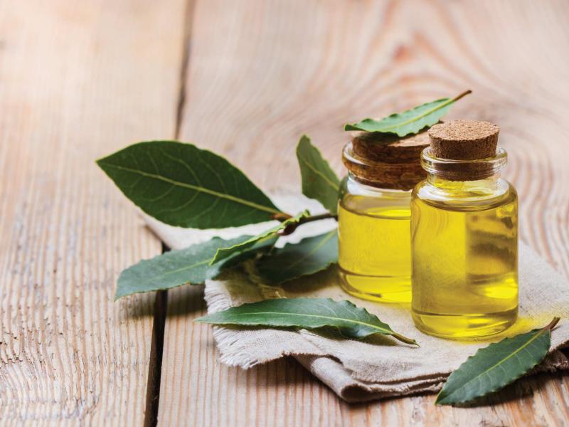 Global Laurel Oil Market