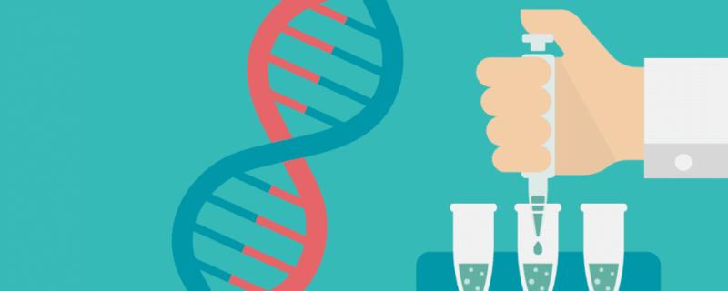 Real-time PCR (TaqMan) Primer and Probes Design Tool