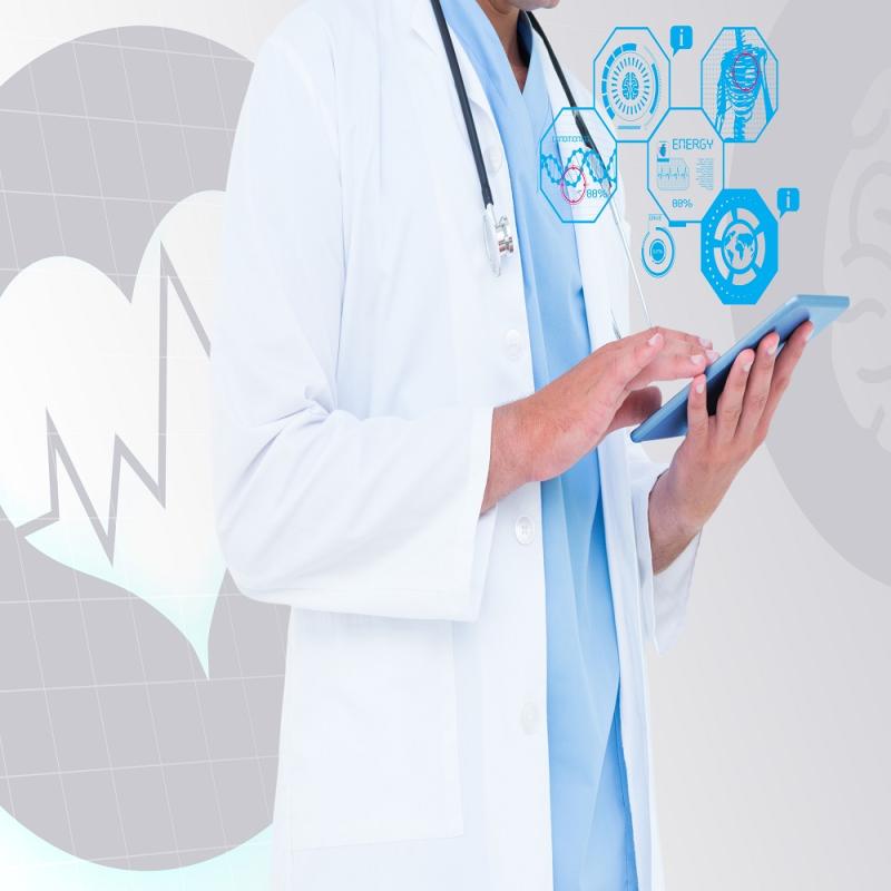 Global Healthcare IT Integration Market