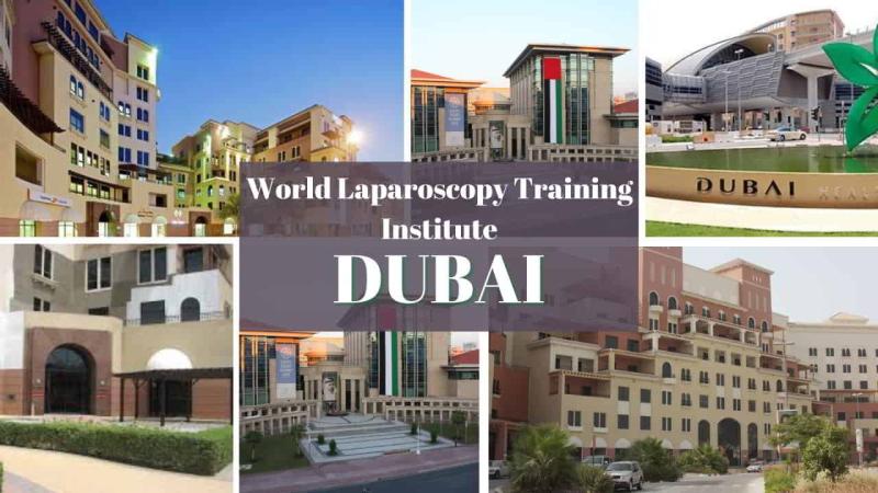 World Laparoscopy Hospital