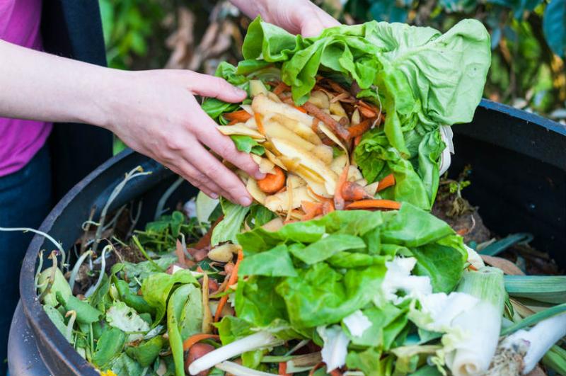 Food Waste Reduction Market Boosting the Strong Growth