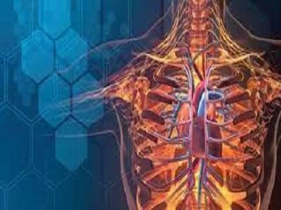 Biosimulation Market