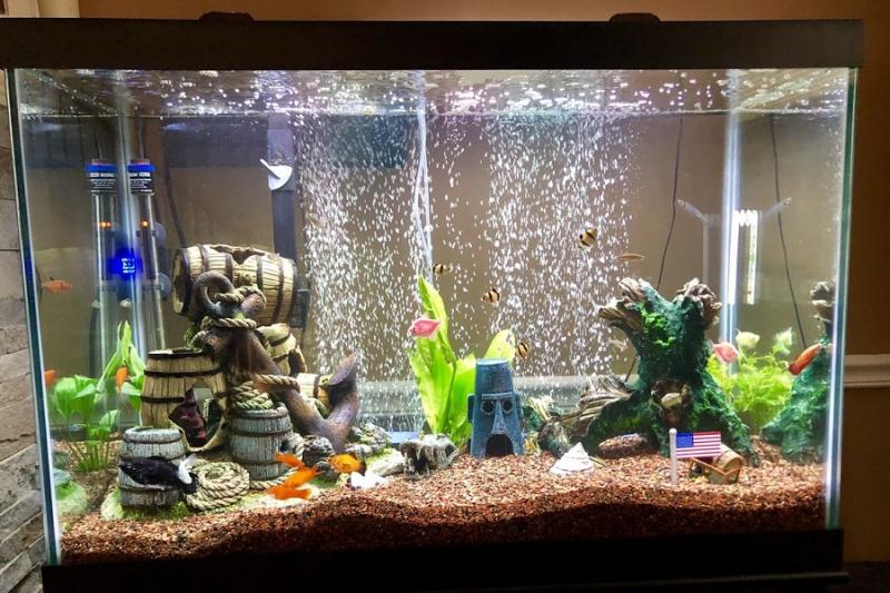 Self-Cleaning Aquarium