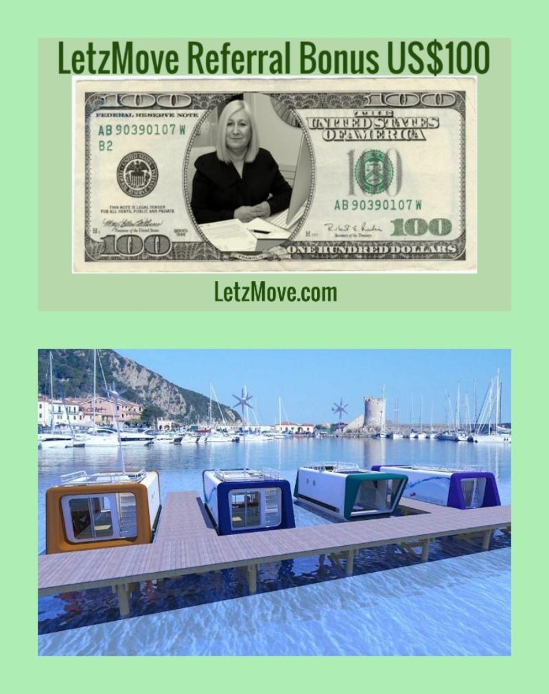UK (London) Real Estate Property News (House Boat Mooring Auction Sale) - Freehold Land and Lake in Thatcham (LetzMove.com).