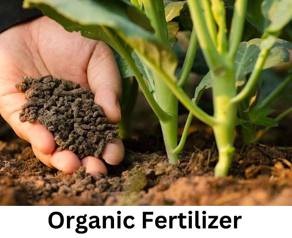 Organic Fertilizer Market
