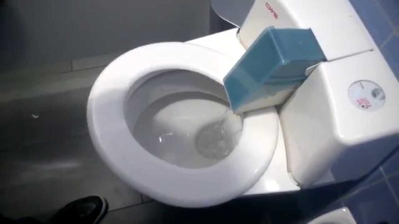 Automatic Self Cleaning Toilet Seat