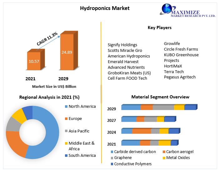 Hydroponics Market to reach USD 24.89 Bn by 2029, emerging at