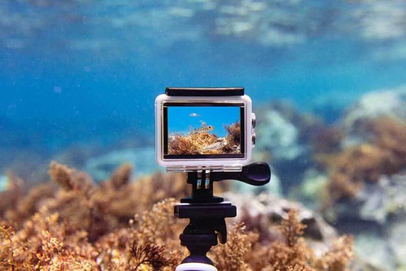 Exclusive Research Report on Action Camera Market Size,