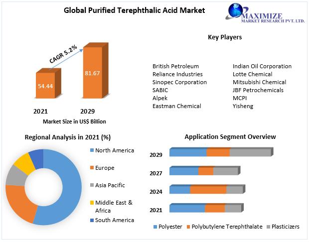 Purified Terephthalic Acid Market