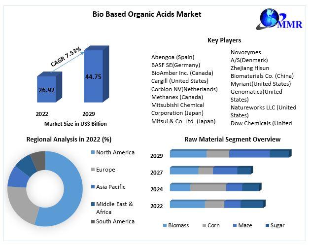 Bio Based Organic Acids Market