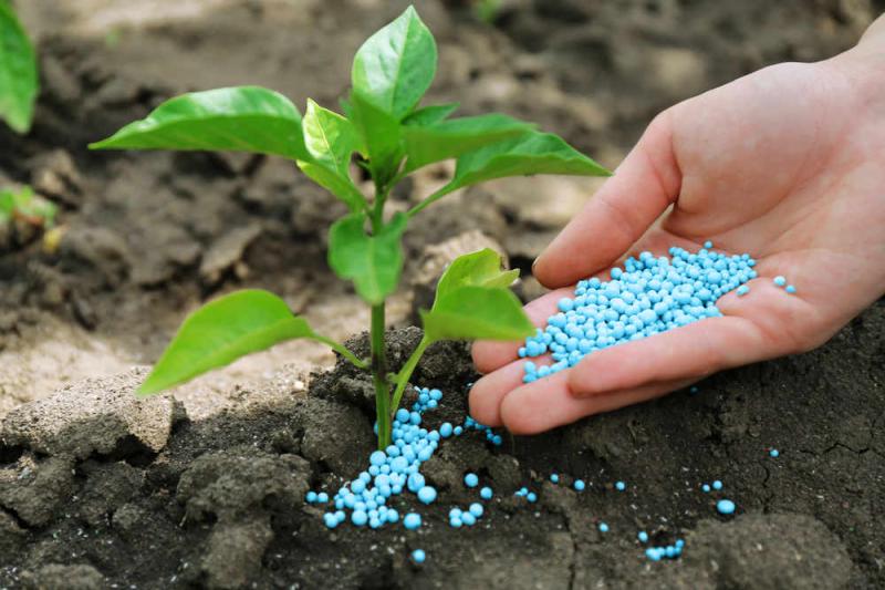 Agricultural Colorants Market