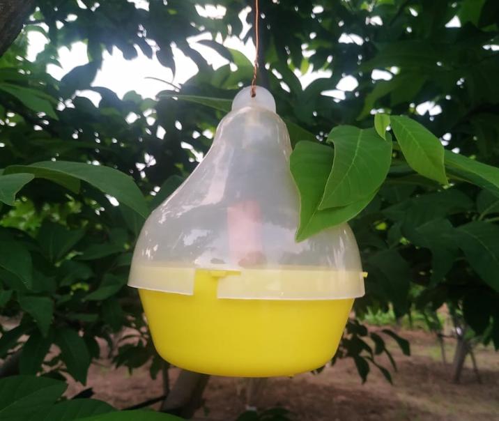 Global Agricultural Pheromone Traps Market