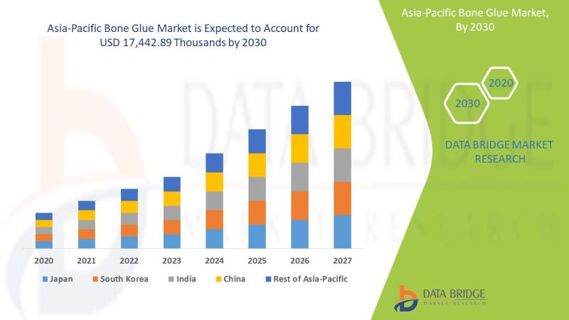 Asia-Pacific Bone Glue Market Development Industry Trends, Key Driven Factors Segmentation And Forecast by 2030