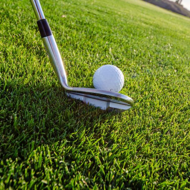 Global Golf Shaft Market