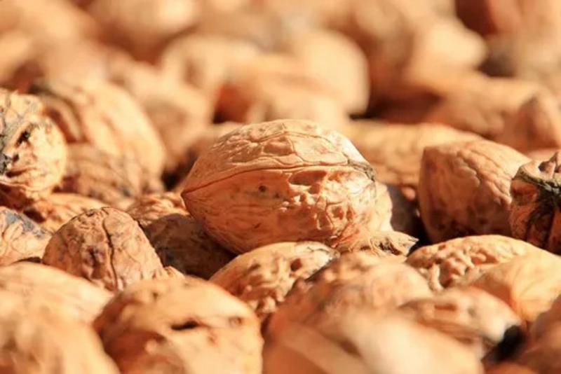 Tree Nut Allergy Market