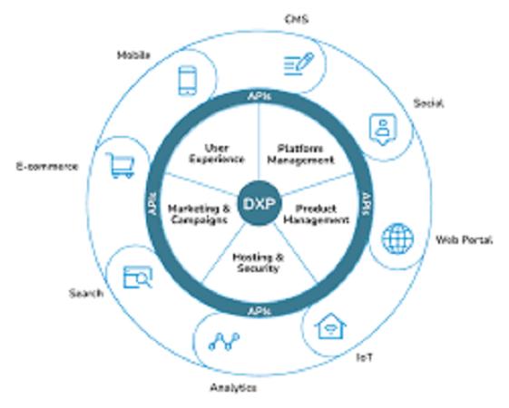 Digital Experience Management Platform
