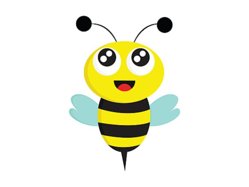 Driving Digital Success - Developing Bee Pvt Limited offers comprehensive digital solutions tailored to your business needs.