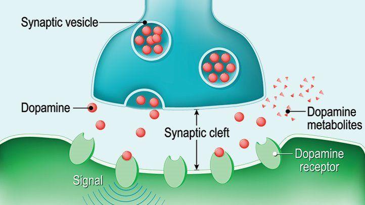 Dopamine Antagonist