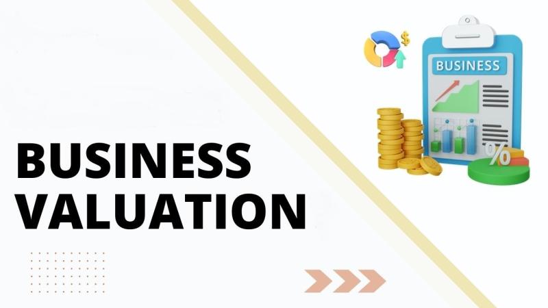 Business Valuation Software
