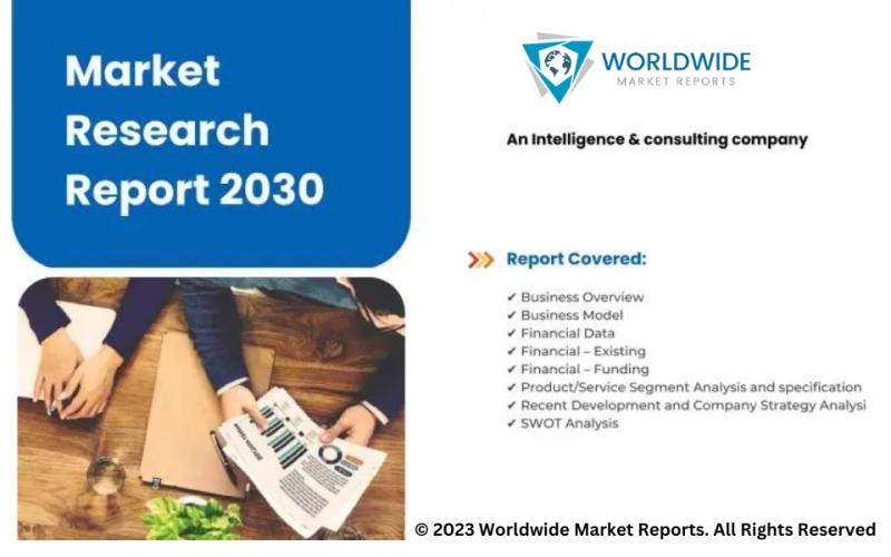 E-Cigarette Market Size, Demand, Trends, Share Analysis 2023-2030