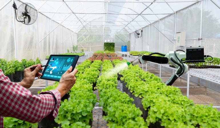 Automated Greenhouse