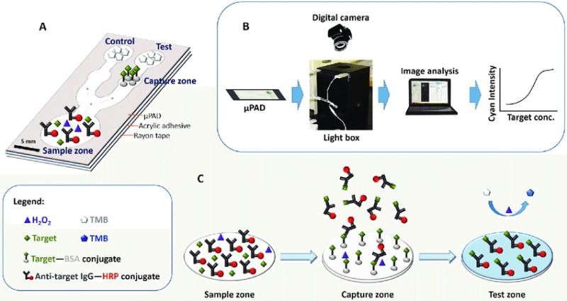 Immunoassay Software