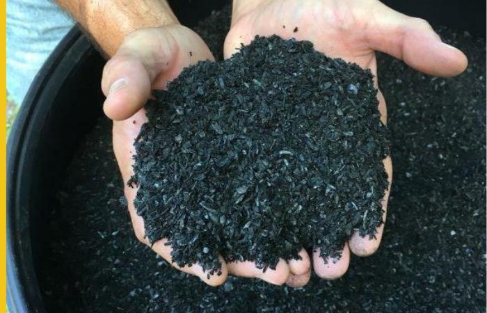 Biochar Market Continues to Grow, with $587.7 Million Valuation