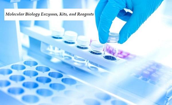 Molecular Biology Enzymes, Kits, and Reagents