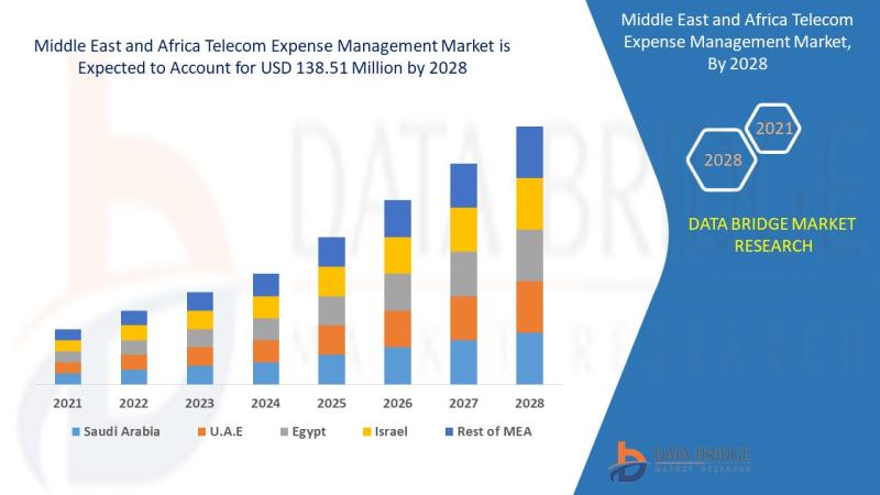 Unlocking Growth Opportunities: Harnessing the Power of Telecom Expense Management in the Middle East and Africa