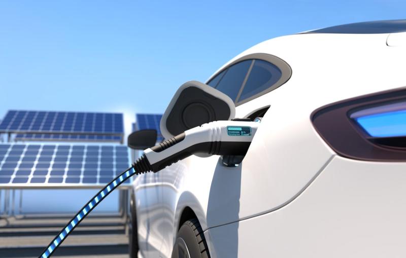 Oman Electric Vehicle Market Top Players in the Market: